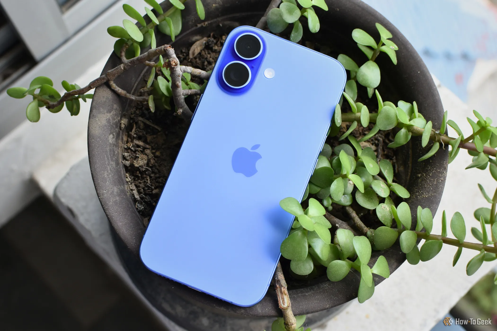 iPhone 16